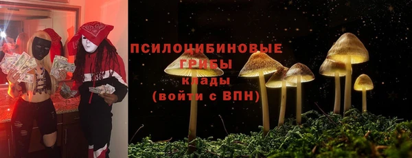 ПСИЛОЦИБИНОВЫЕ ГРИБЫ Ладушкин