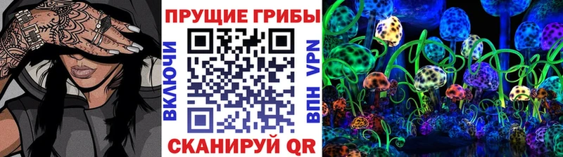где найти Камень-на-Оби Галлюциногенные грибы Cubensis