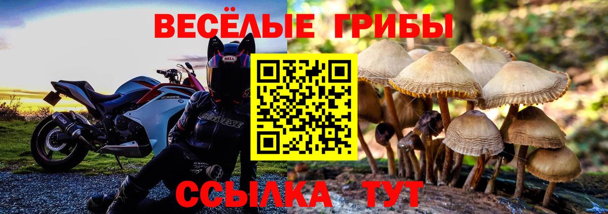 Галлюциногенные грибы GOLDEN TEACHER  Вход с VPN  Камень-на-Оби 