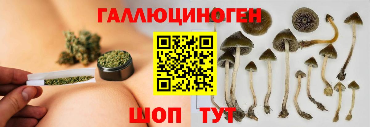 Галлюциногенные грибы мицелий Камень-на-Оби